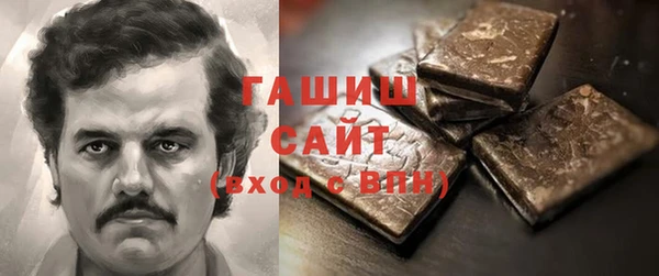 индика Елизово